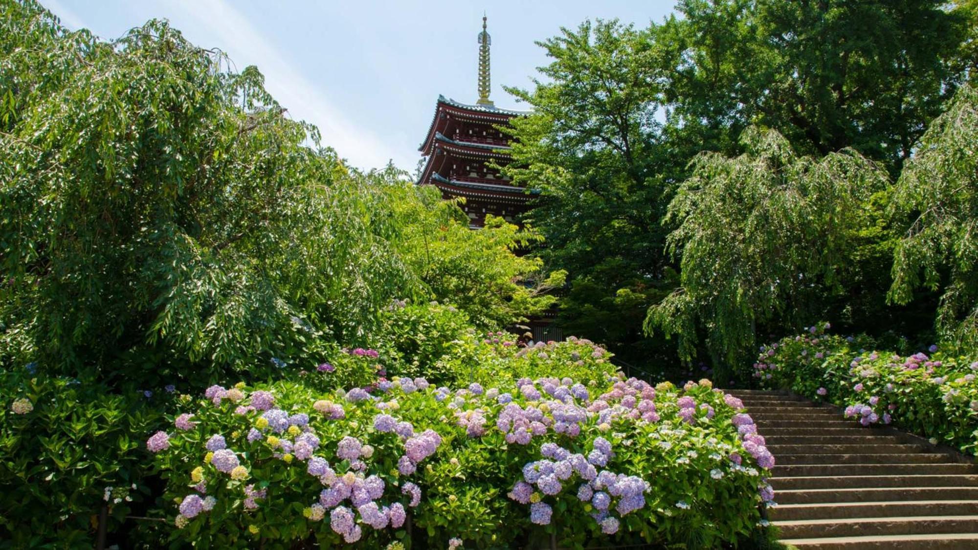 Toyoko Inn Matsudo Eki Higashi Guchi Kültér fotó